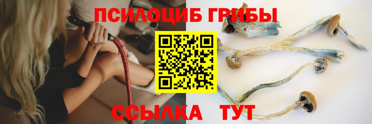 Псилоцибиновые грибы прущие грибы Сальск