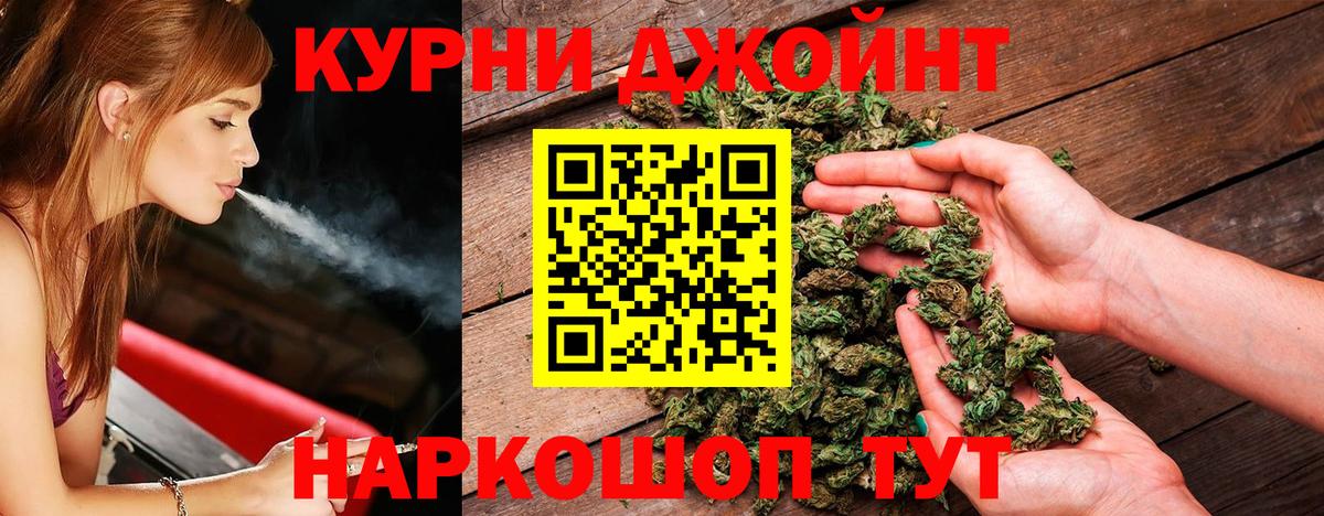 Сальск  Канабис сатива  МАРИХУАНА сатива  Бошки марихуана OG Kush  Вход с VPN  Марихуана планчик 
